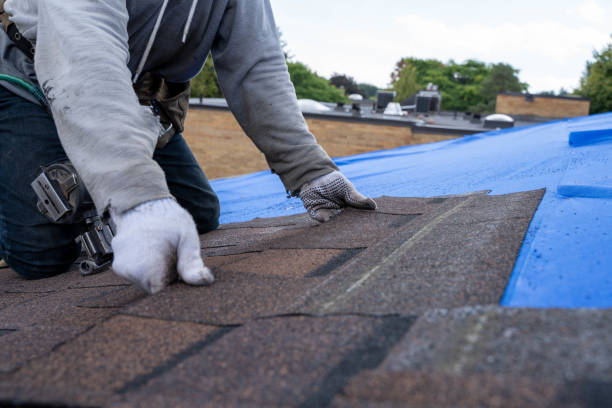 Gutter Installation and Roofing in Meyers, CA