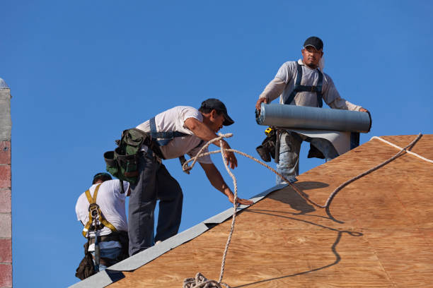 Best Roof Gutter Cleaning  in Meyers, CA