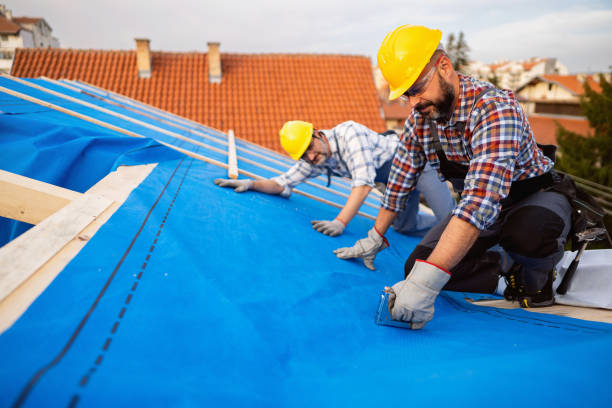 Best Gutter Installation and Roofing  in Meyers, CA